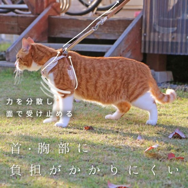 画像10: 【ポイント10倍で会員様はお得】  猫用スーパーハーネス＆リード フェアオーガニック 【2号・3号・4号】 (10)