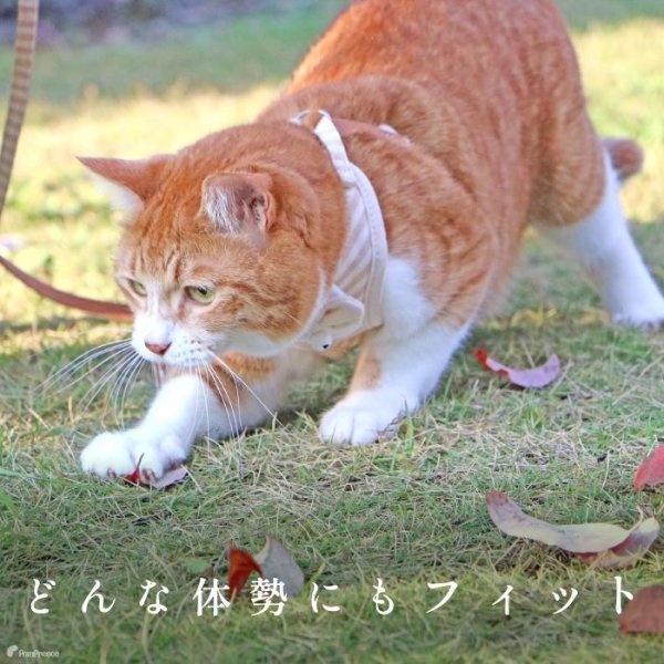 画像12: 【ポイント10倍で会員様はお得】  猫用スーパーハーネス＆リード フェアオーガニック 【2号・3号・4号】 (12)
