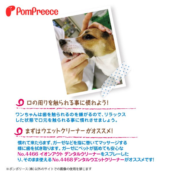 画像2: 【ポイント10倍で会員様はお得】 イオンアクト 業務用デンタルクリーナ 250ml (2)