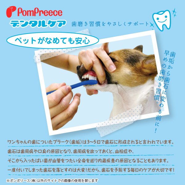 画像3: 【ポイント10倍で会員様はお得】 イオンアクト 業務用デンタルクリーナ 250ml (3)