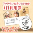 画像1: ドッグラン＆カフェPomP 1日利用券 (1)