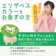 画像2: 【ポイント10倍で会員様はお得】 ロングブリリアン エリザベスカラー ギンガム 【1・2・3・4・5号】 (2)