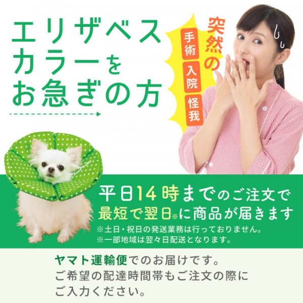画像2: 【ポイント10倍で会員様はお得】  ドーナツエリザベスカラ-オーガニックボーダ-【1〜5号】ドーナツの輪が3つのタイプ (2)