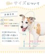 画像24: 【ポイント10倍で会員様はお得】 犬 猫 ペット用 エリザベスカラー  ロングブリリアントエリザベスカラー ルンルン水玉【1〜5号】 (24)