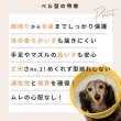 画像6: 【ポイント10倍で会員様はお得】 メッシュエリザベスカラ― ドットボタン留め 【S〜LL】 (6)