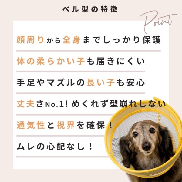 画像6: 【ポイント10倍で会員様はお得】 メッシュエリザベスカラ― ドットボタン留め 【S〜LL】 (6)