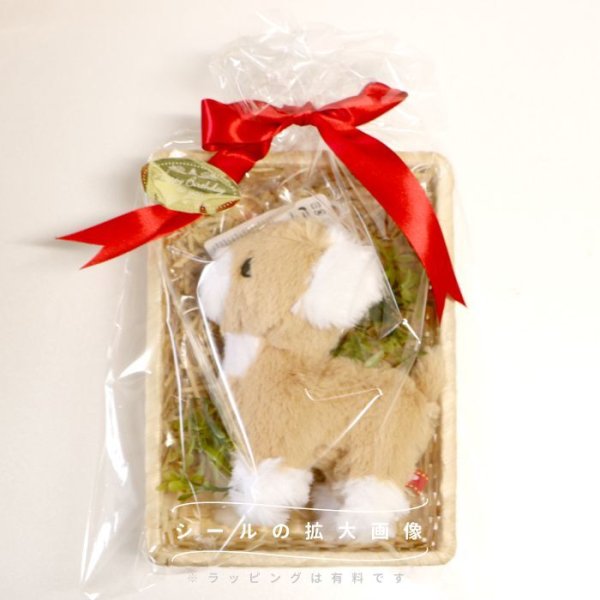 画像11: 【可愛いラッピングOK】 [有料]ギフトサービス  ラッピング ※商品と一緒にご購入ください（単体での販売はしておりません。) (11)