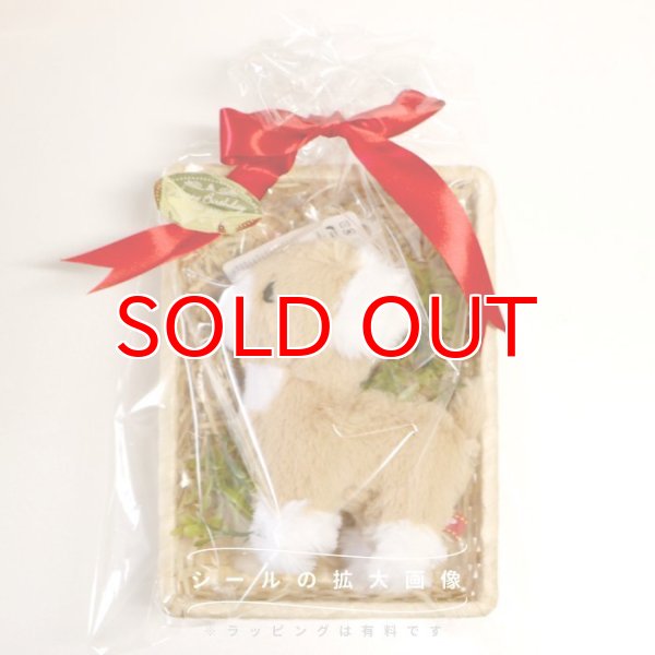 画像11: 【可愛いラッピングOK】 [有料]ギフトサービス  ラッピング ※商品と一緒にご購入ください（単体での販売はしておりません。) (11)