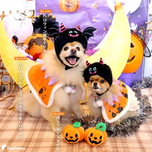 画像3: 【ポイント10倍で会員様はお得】犬 猫 ペット用おもちゃ PeePeeTOY パンプキンスマイル (3)