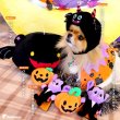 画像3: 【ポイント10倍で会員様はお得】 NEW リバーシブルケープ ハロウィン＆X’mas 【S・M・LL・4L】 (3)
