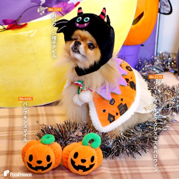 画像5: 【ポイント10倍で会員様はお得】犬 猫 ペット用おもちゃ PeePeeTOY パンプキンスマイル (5)