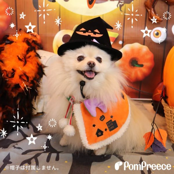 画像5: 【ポイント10倍で会員様はお得】 NEW リバーシブルケープ ハロウィン＆X’mas 【S・M・LL・4L】 (5)