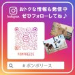 画像3: 【SALEでお得※在庫限りお早めに】【大好評50％OFF】[おためし1枚入]メス用洗えるシーシーおむつ【1〜10号】 (3)
