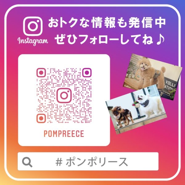 画像3: 【ポイント10倍で会員様はお得】 持ち手クッション付きリード 唐草 【中型】 (3)