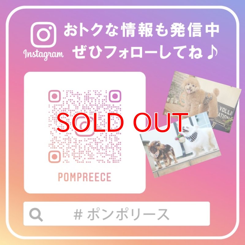 画像6: 【ポイント10倍で会員様はお得】【5個セット】犬用 ゴム トリミング ペット グッズ 犬 ドッグ 猫 キャット 業務用・プロのサロン様にも ミックスゴム（8g） (6)