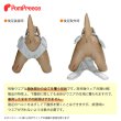 画像7: 【ポイント10倍で会員様はお得】 [ネコpom]猫用術後カバーオー オーガニックボーダー【4号】 (7)