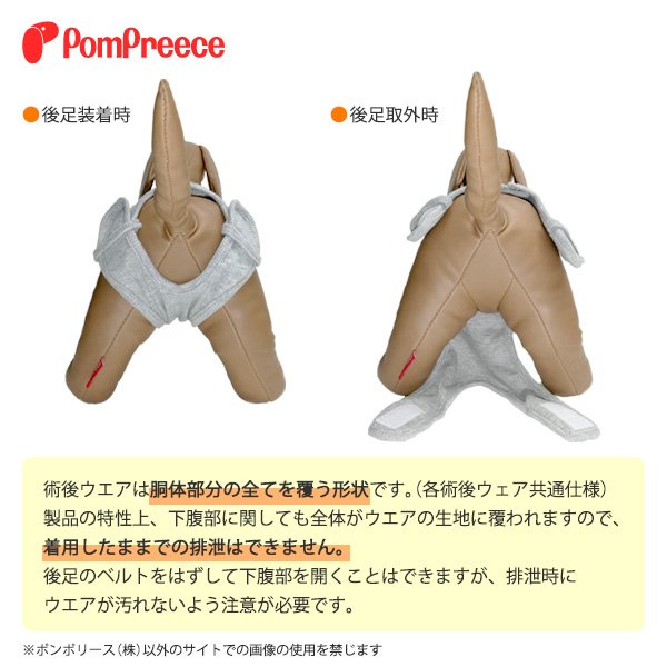 画像3: 【在庫処分セール品】 小型胴長犬用 ロングサイズ術後カバーオール 【4号】ピンクのみ※返品交換不可 (3)