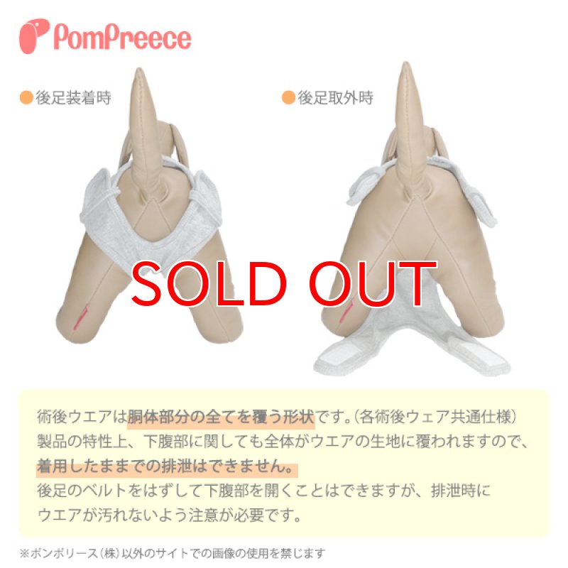 画像7: 【在庫処分セール品】猫用 術後カバーオー ネオボーダー【2号 グレーのみ】※返品交換不可 (7)