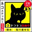 画像1: 【ポイント10倍で会員様はお得】 選べる ねこ ステッカー 大小2枚セット  猫 ドライブレコーダー ステッカー 耐水 張り直しOK (1)