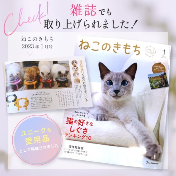 画像3: 【ポイント10倍で会員様はお得】 フードディッシュ イチゴ【小型】 (3)