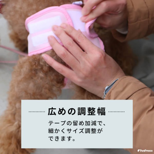 画像2: 【SALEでお得※在庫限りお早めに】メス用 ベルト型サニタリーパンツ＆洗える軽オムツ 1〜10号【1〜10号】 (2)