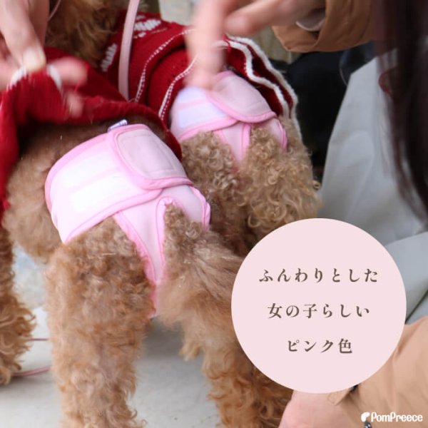画像3: 【SALEでお得※在庫限りお早めに】メス用 ベルト型サニタリーパンツ＆洗える軽オムツ 1〜10号【1〜10号】 (3)