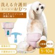 画像1: 【SALEでお得※在庫限りお早めに】【大好評50％OFF】[2枚組]メス用洗えるシーシーおむつ【1〜10号】 (1)