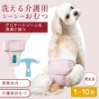 画像1: 【SALEでお得※在庫限りお早めに】【大好評50％OFF】[おためし1枚入]メス用洗えるシーシーおむつ【1〜10号】 (1)