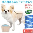 画像1: 【SALEでお得※在庫限りお早めに】【大好評50％OFF】[おためし1枚入]オス用洗えるシーシーおむつ ※カラーはベージュ【1〜10号】 (1)