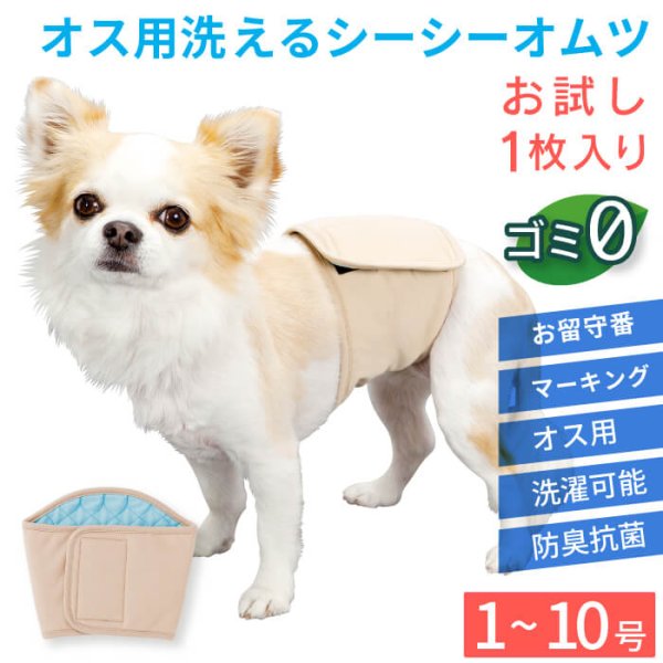 画像1: 【SALEでお得※在庫限りお早めに】【大好評50％OFF】[おためし1枚入]オス用洗えるシーシーおむつ ※カラーはベージュ【1〜10号】 (1)