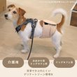 画像2: 【SALEでお得※在庫限りお早めに】【大好評50％OFF】[3枚組]オス用洗えるシーシーおむつ 【1〜10号】※カラーはベージュ色 (2)