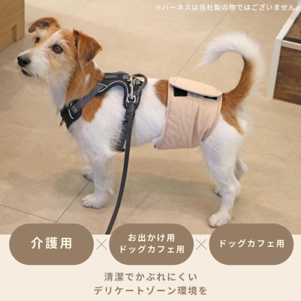 画像2: 【SALEでお得※在庫限りお早めに】【大好評50％OFF】[おためし1枚入]オス用洗えるシーシーおむつ ※カラーはベージュ【1〜10号】 (2)