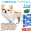 画像1: 【SALEでお得※在庫限りお早めに】【大好評50％OFF】[3枚組]オス用洗えるシーシーおむつ 【1〜10号】※カラーはベージュ色 (1)