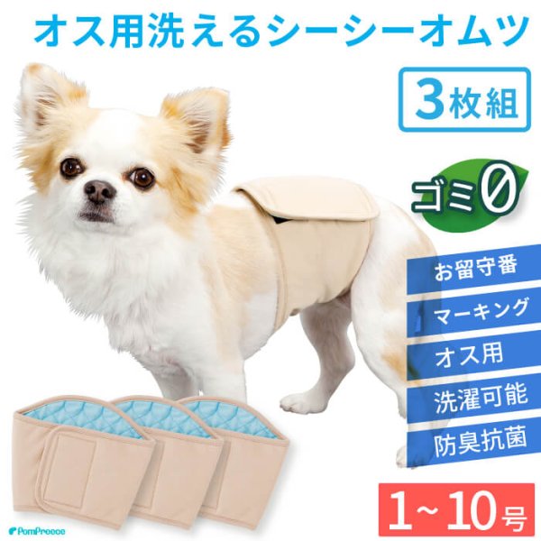 画像1: 【SALEでお得※在庫限りお早めに】【大好評50％OFF】[3枚組]オス用洗えるシーシーおむつ 【1〜10号】※カラーはベージュ色 (1)
