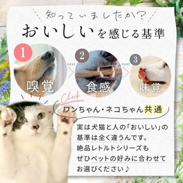 画像5: 【20%OFF 在庫処分セール品（9351SALE）】トマトソースのイタリアンハンバーグ 常温保存OK［賞味期限：2025.12.04］ (5)