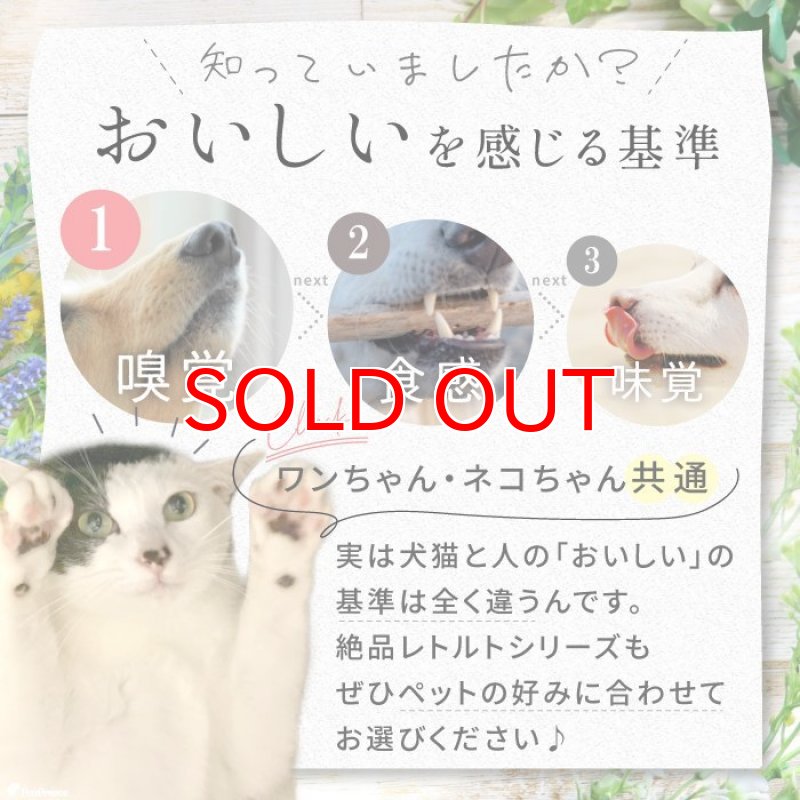 画像5: [国産] 犬用 ジュージュー牛肉ステーキ 43g [賞味期限：2027.1.26] | 無添加 無着色 レトルト 常温保存OK 猫NG (5)