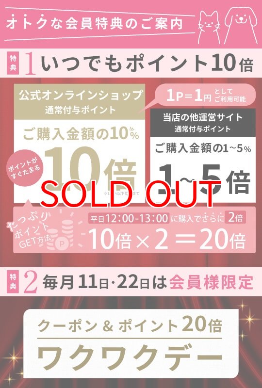 画像7: 【ポイント10倍で会員様はお得】【5個セット】犬用 ゴム トリミング ペット グッズ 犬 ドッグ 猫 キャット 業務用・プロのサロン様にも ミックスゴム（8g） (7)