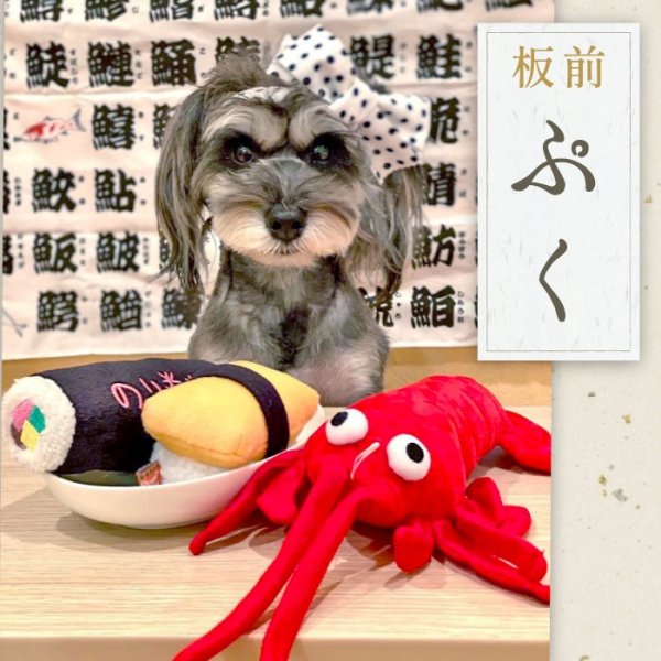 画像12: 【ポイント10倍で会員様はお得】 知育PeePeeTOY のりまき (12)