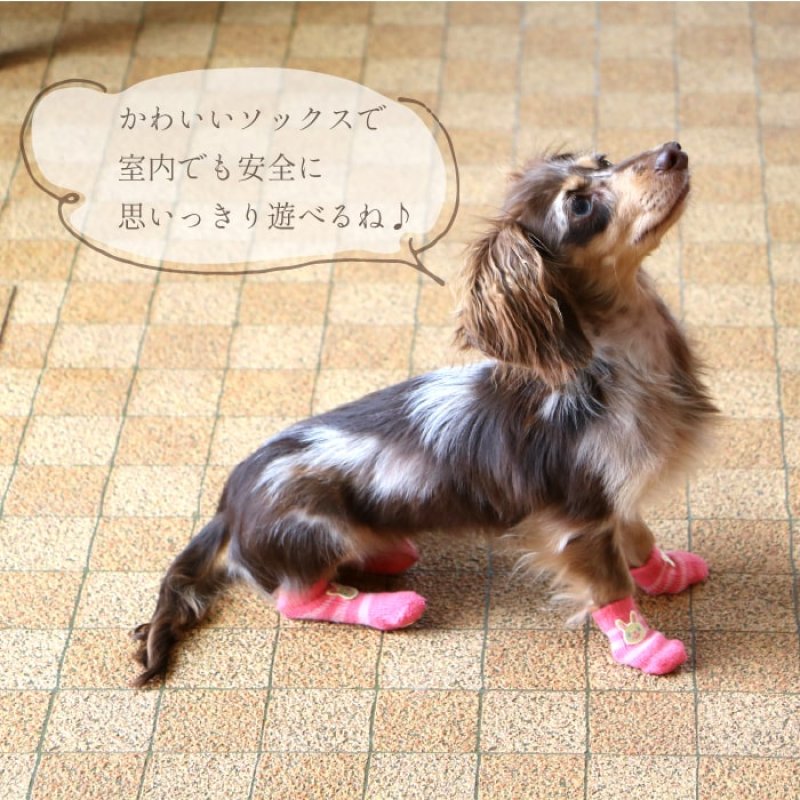 画像9: 【ポイント10倍で会員様はお得】 犬用ソックス  【SS〜3L】フローリングでの滑り止め 肉球の保護 傷なめ防止 介護用 包帯替わりに※在庫限り (9)