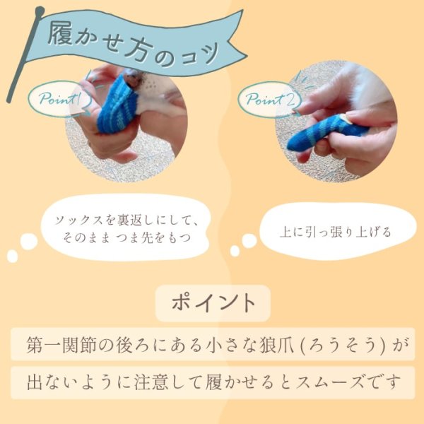 画像12: 【ポイント10倍で会員様はお得】 ロングソックス 杢ボーダー【S〜3L】フローリングでの滑り止め 肉球の保護 傷なめ防止 介護用 包帯替わりに (12)