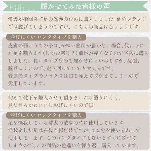 画像16: 【ポイント10倍で会員様はお得】 ロングソックス 杢ボーダー【S〜3L】フローリングでの滑り止め 肉球の保護 傷なめ防止 介護用 包帯替わりに (16)