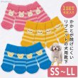 画像1: 【ポイント10倍で会員様はお得】 犬用ソックス ボーダーアニマル【SS〜LL】フローリングでの滑り止め 肉球の保護 傷なめ防止 介護用 包帯替わりに (1)