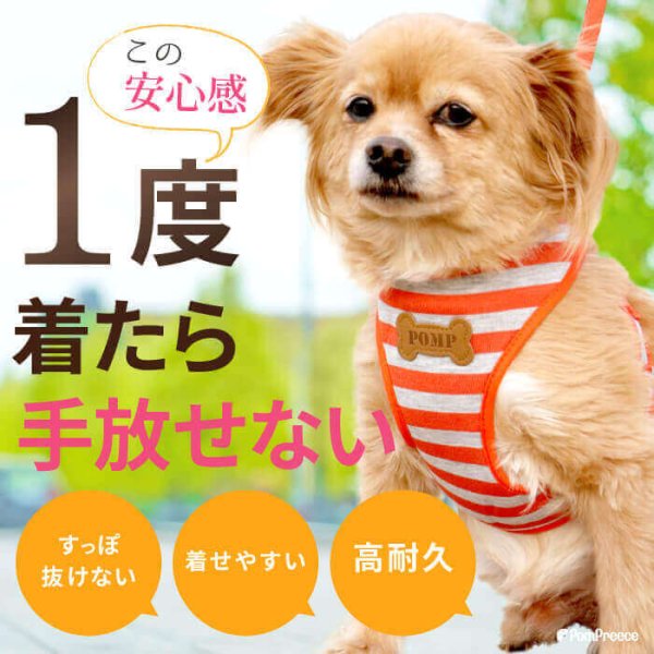 画像6:  合わせ買い推奨商品 セーフティロック パーツセット ※1袋に2個のパーツ入り【M→3S〜3号、L→4号〜6号】(弊社製スーパーハーネス専用)一人様1点のご購入とさせていただいております。 (6)