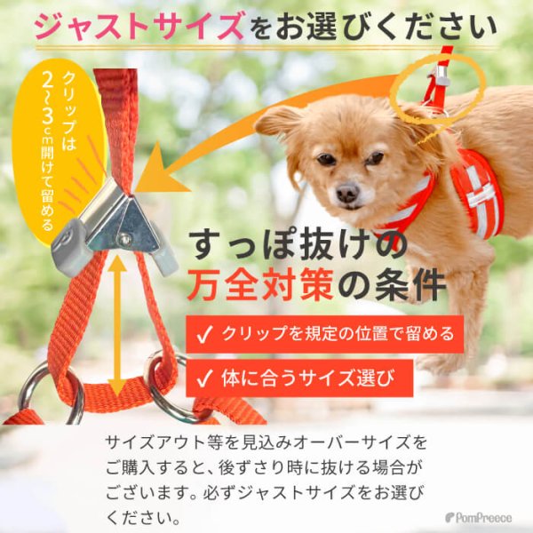 画像12: 【ポイント10倍で会員様はお得】 ［防虫香り袋プレゼント］犬用 スーパーハーネス＆リード 2モデル  ボーダーニットor  ロイヤルチェック (12)