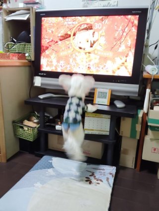 レビュー19-投稿画像1