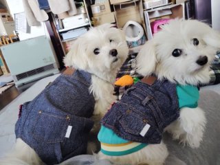 レビュー45-投稿画像1