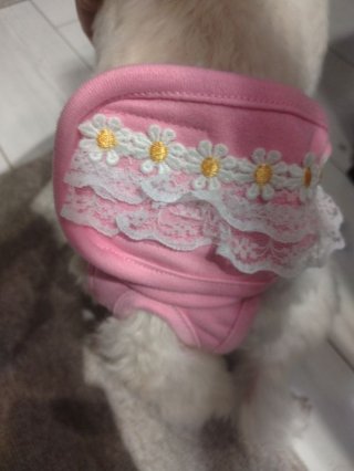 レビュー39-投稿画像1