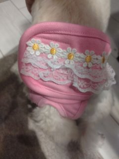 レビュー39-投稿画像1