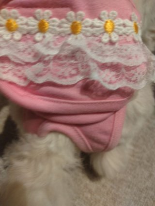 レビュー39-投稿画像3