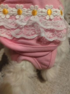 レビュー39-投稿画像3